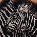 Eyes of Africa "Zebra" by Danny Day