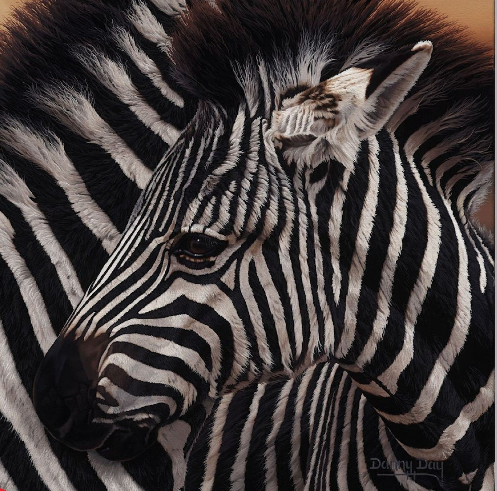Eyes of Africa "Zebra" by Danny Day