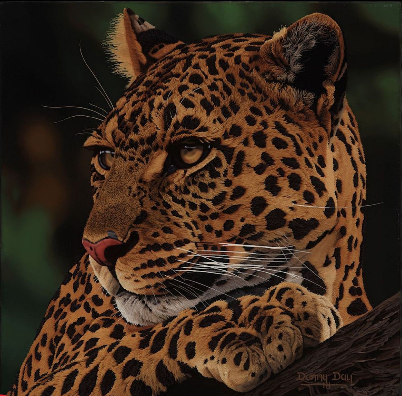 Eyes of Africa "Leopard" by Danny Day