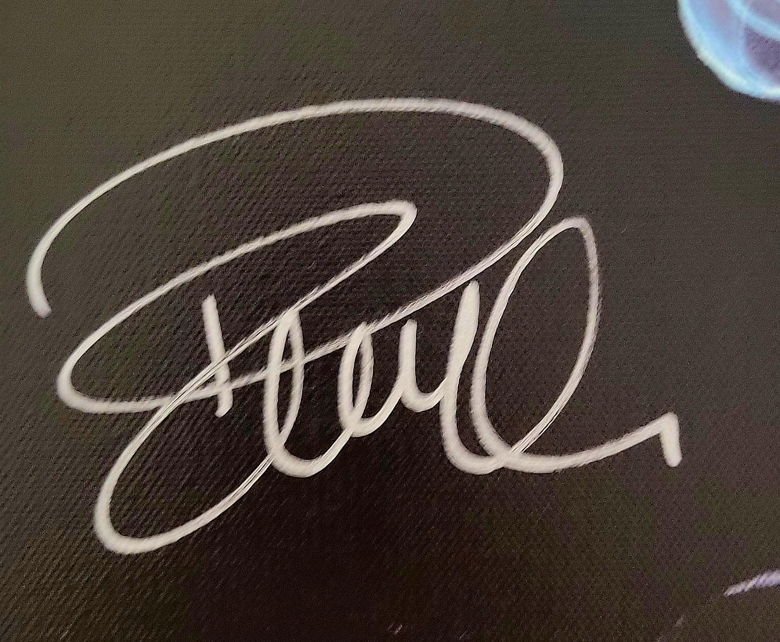 Gangster Love by Michael Godard Autographed by Pam Anderson