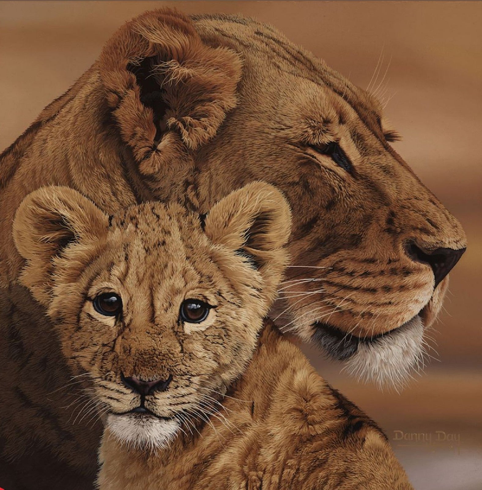 Eyes of Africa "Lioness and Cub" by Danny Day
