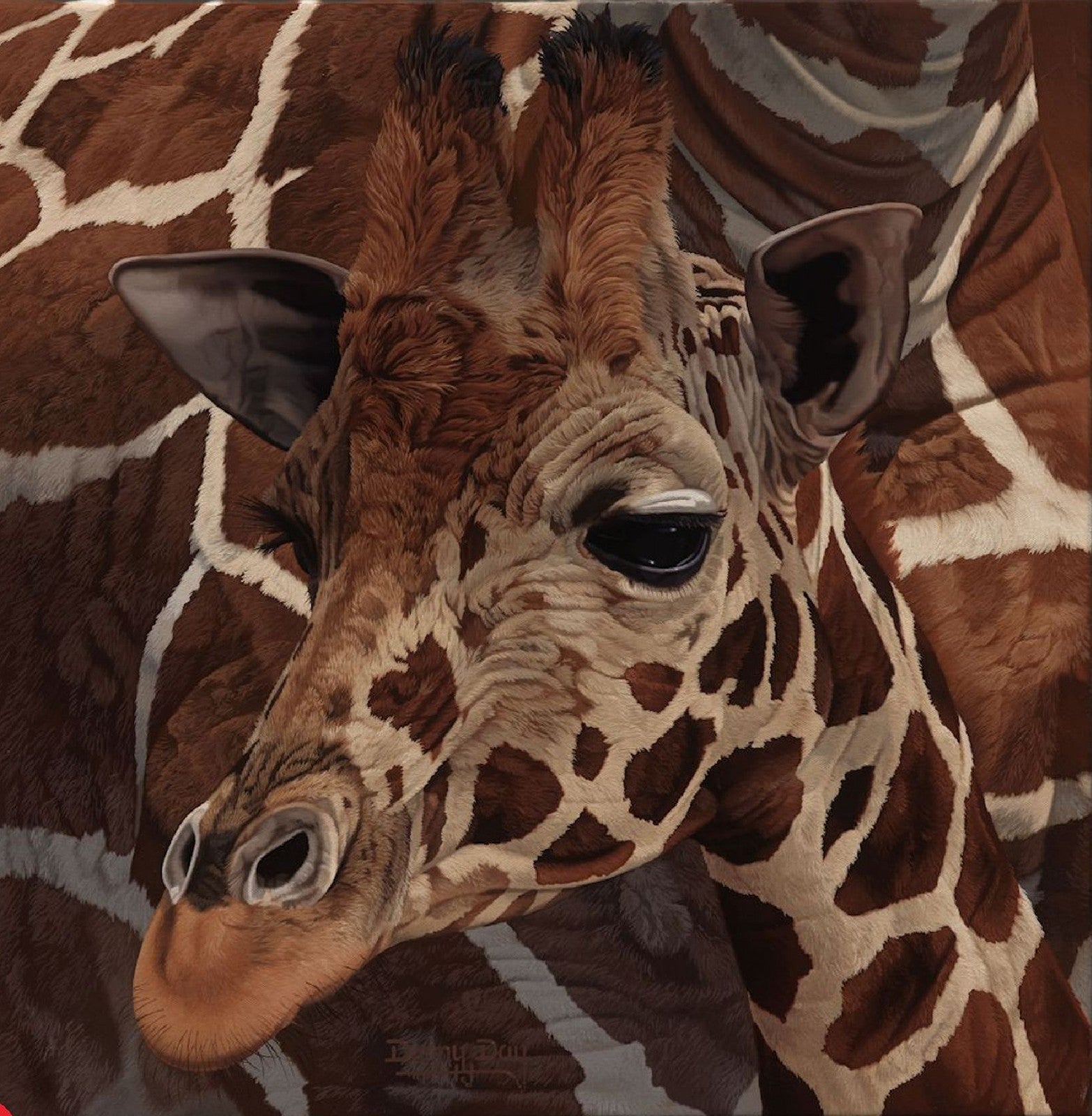 Eyes of Africa "Giraffe" by Danny Day